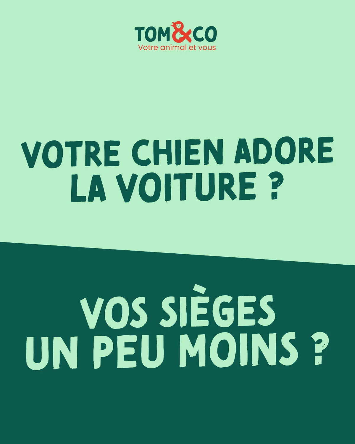 Carrousel Instagram Tom & Co Lanester, visuel 1 sur 8