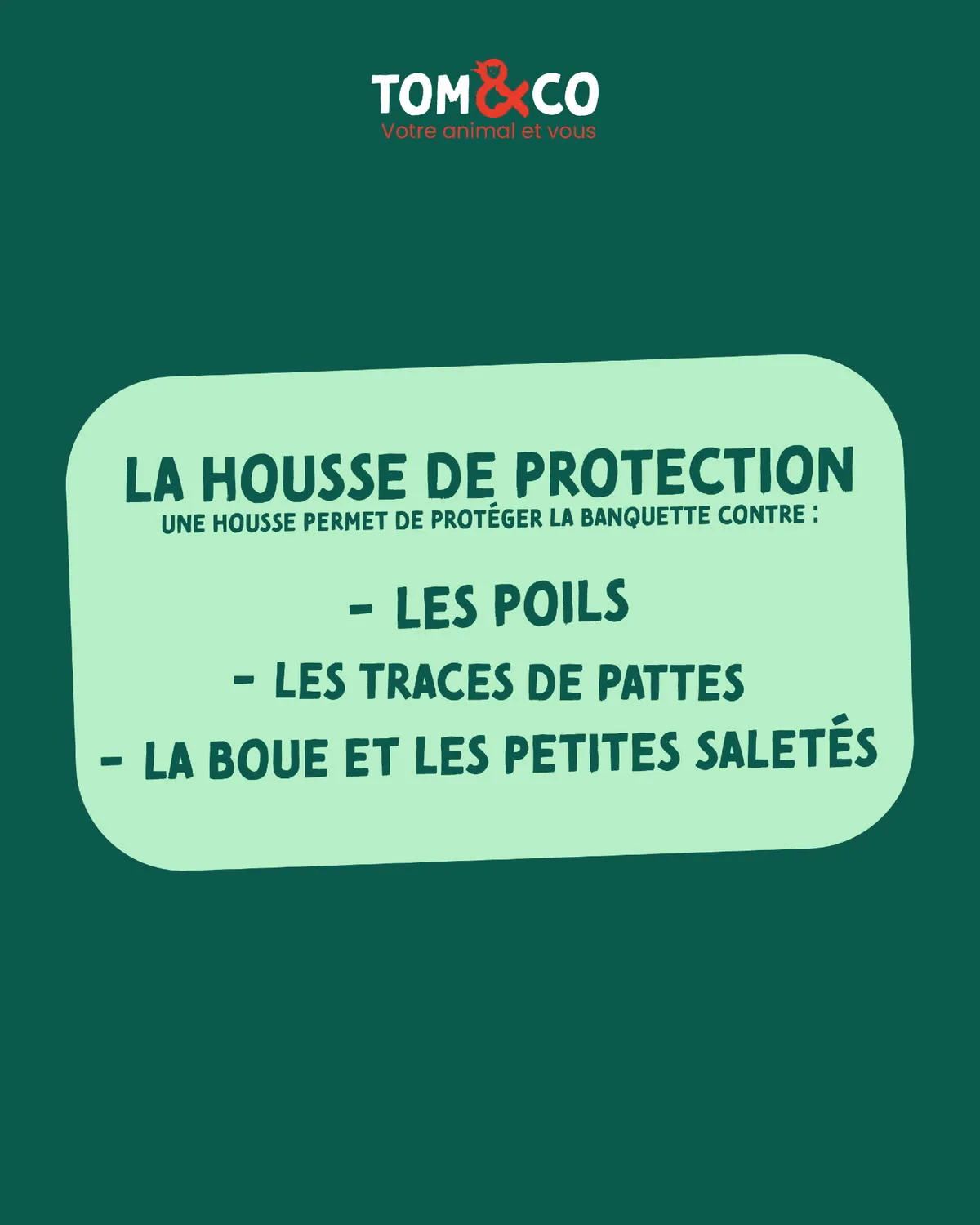 Carrousel Instagram Tom & Co Lanester, visuel 2 sur 8