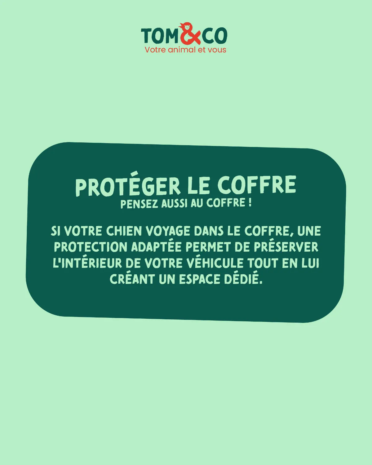 Carrousel Instagram Tom & Co Lanester, visuel 3 sur 8