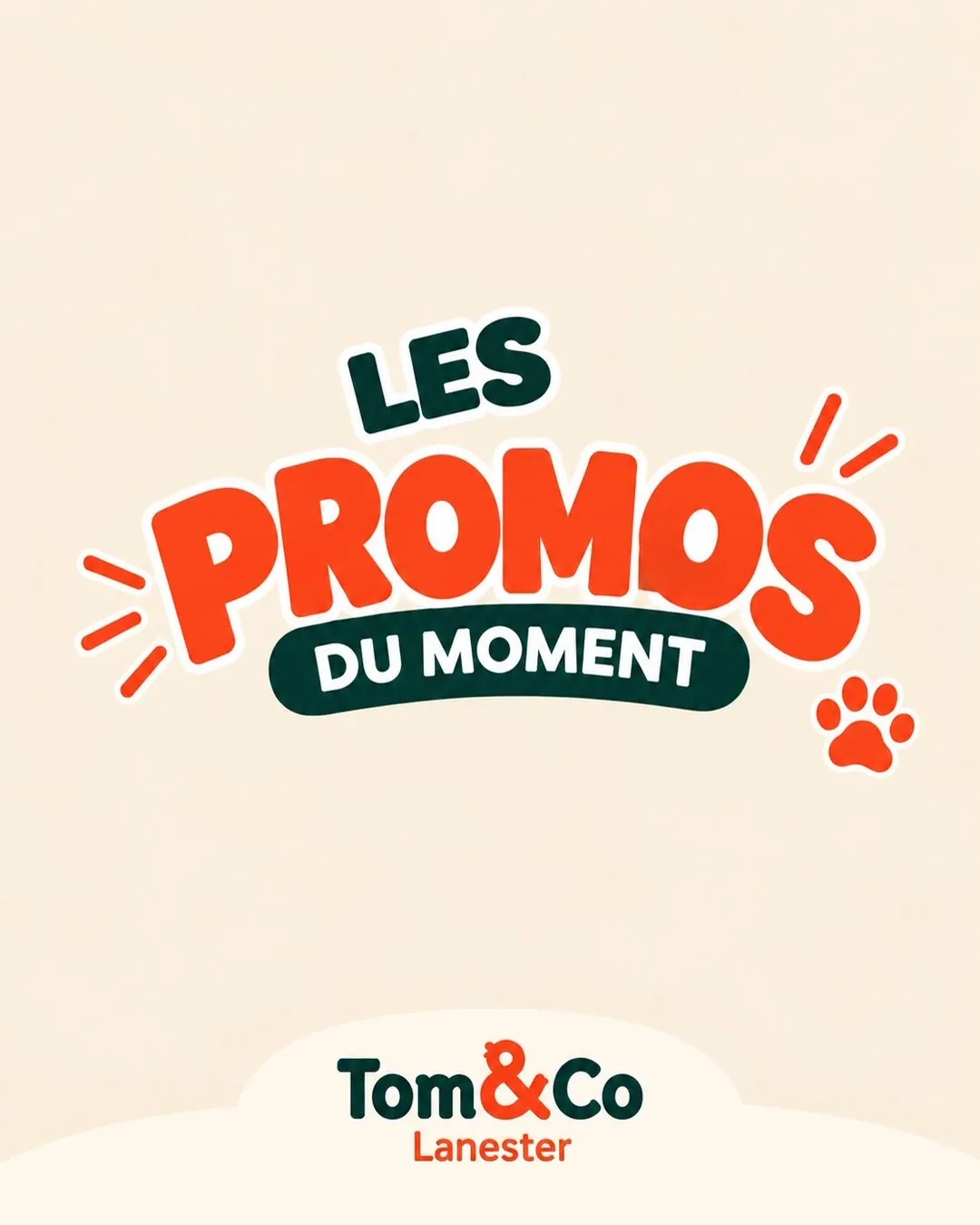 Visuel « Les promos du moment » pour Tom & Co Lanester